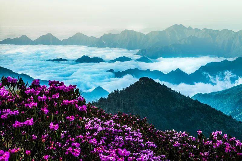 单间木屋逃脱